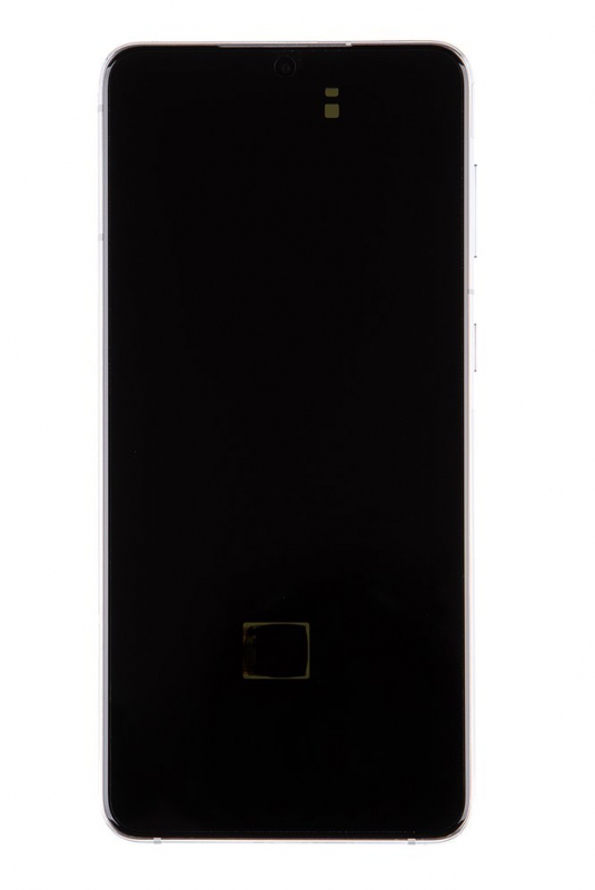 LCD display + Dotyk Samsung SM-G996 Galaxy S21+ Phantom Silver (Service Pack)