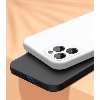 Baseus Liquid Silica Gel Case Flexible gel case iPhone 12 Pro Ivory white (WIAPIPH61P-YT02)