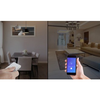 Sonoff D1 Smart Dimmer Switch 433 MHz RF black (M0802010005)