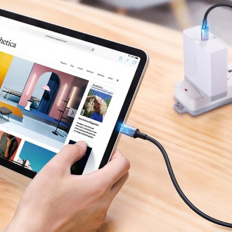 Ugreen cable USB Type C - USB Type C Power Delivery 100W Quick Charge FCP 5A 3m gray cable (90120 US316)