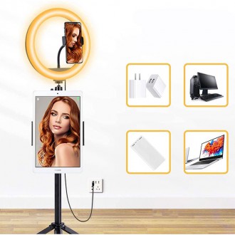 Joyroom ring flash lamp tripod kit for recording live streaming YouTube videos TikTok Instagram selfie phone holder ring light black (JR-ZS233)