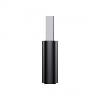 Baseus Ingenuity Series Mini USB 3.1 OTG to USB Type C adapter black (ZJJQ000101)