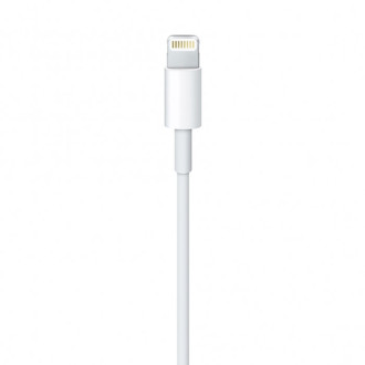 Apple kabel USB-A - Lightning 2m bílý (MD819)
