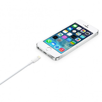 Apple kabel USB-A - Lightning 2m bílý (MD819)