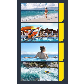 Baseus universal waterproof cover phone case (max 7.2&#39;&#39;) for swimming pool IPX8 black (ACFSD-DG1)