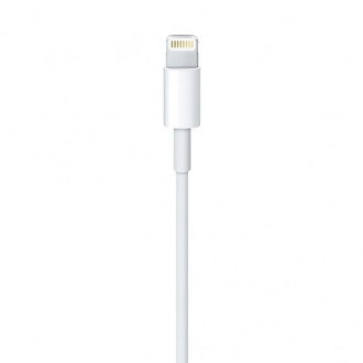 Apple cable USB-A - Lightning 0.5m white (ME291ZM/A)