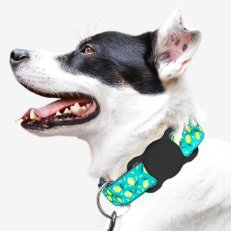 Apple AirTag Silicone Case for Dog or Cat Collar - Black