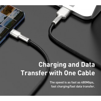 Baseus CAKF000001 Cafule Datový Kabel USB-USB-C 66W 0, 25m Black